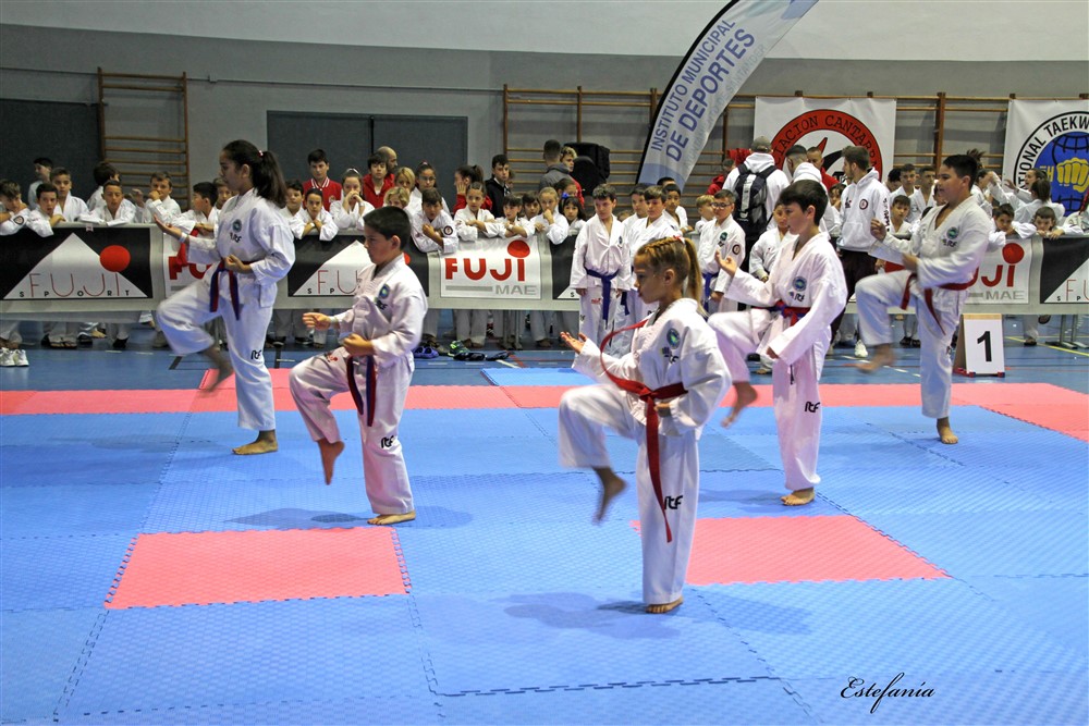 Copa Seul 2018 (297).jpg